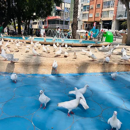 Alameda Centro * Benidorm